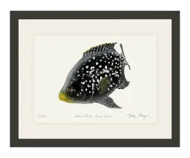 Starry Night Cichlid II Print